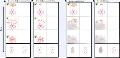 Young Children Intuitively Divide Before They Recognize the Division Symbol